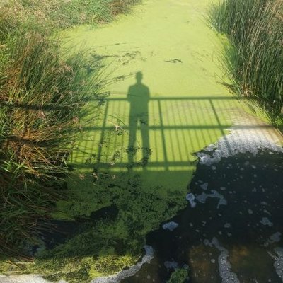 Profile Picture of Matt Nix (@matt_nix) on Twitter