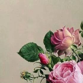 Profile Picture of Safaa Ahmed (@safaaahmed77) on Pinterest
