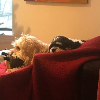 Profile Picture of Joan Walsh (@joanwalsh) on Twitter