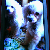 Profile Picture of Nancy Lazaro (@nancylazaro4918) on Youtube