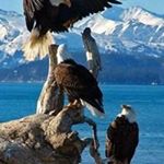 Profile Picture of Michael Coldwell (@micster1950) on Instagram