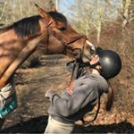 Profile Picture of Hailey Hancock (@h_.equestrian) on Instagram