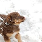 Profile Picture of troyrutherfordox (@troyrutherfordox) on Instagram