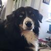 Profile Picture of rylen12.2 (@@whitneymcgrath306) on Tiktok