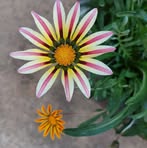 LaDonna Hays - Facebook Profile Picture of LaDonna Hays (@ladonna.jonesmillerhays) on Facebook