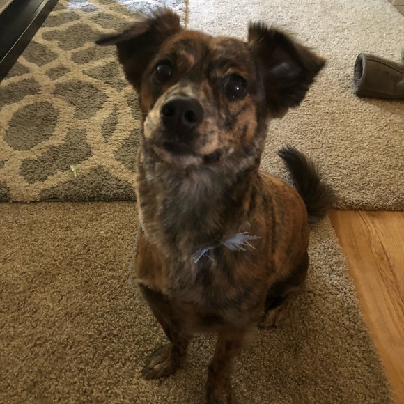 Profile Picture of Casey Lambert (@thoma090) on Poshmark