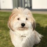 Profile Picture of Albert Timmermann (@albert_timmermann) on Instagram