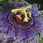 Profile Picture of Raju Cherian (@raju_cherian) on Instagram