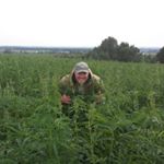 Profile Picture of Steve Ramsay (@psifarms) on Instagram