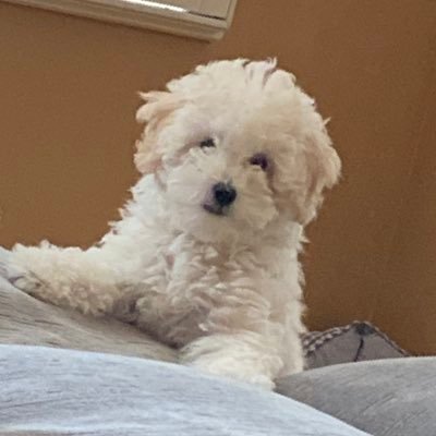 Profile Picture of Jeffrey Serna (@JeffreySerna1) on Twitter