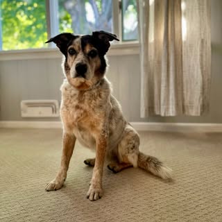 Profile Picture of Kelsey (@k_perrine) on Instagram