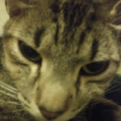 Profile Picture of Michael Akers (@michaelakers1988) on Youtube