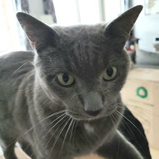 Profile Picture of David Swymeler (@david.swymeler.3) on Facebook