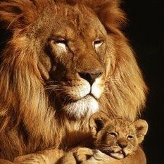 Profile Picture of Carlos Alvizures (@CarlosAlvizur10) on Twitter