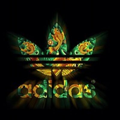 Profile Picture of Daniel Hitz (@HitzDaniel) on Twitter
