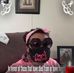 Profile Picture of LaTonya Best (@LaTonya-Best) on Facebook