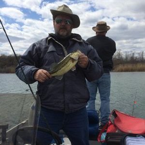 Profile Picture of Terry Kuhn (@terrykuhn7) on Twitter