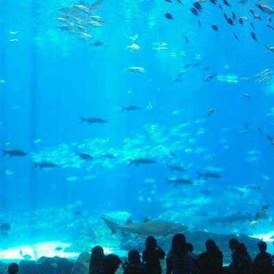 Profile Picture of Paulette Thomas (@paulette_thomas) on Twitter