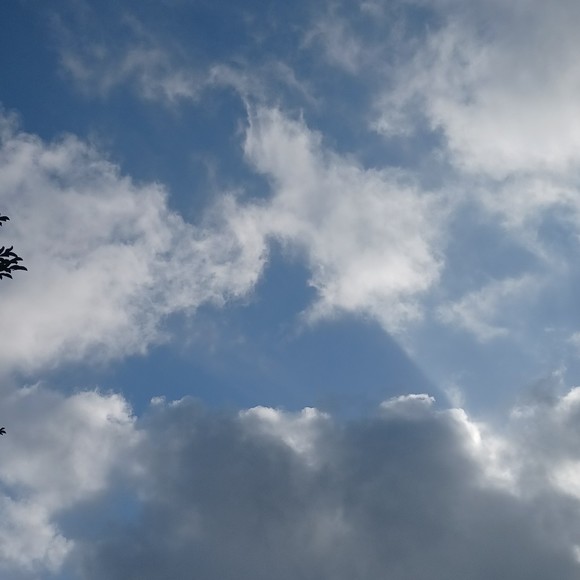 Profile Picture of Rolando Matthews (@unposhible) on Poshmark