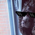 Profile Picture of Taven Ostaff (@taven._.1) on Instagram