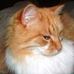Profile Picture of Jean Simonsen (@jean.simonsen.5) on Facebook