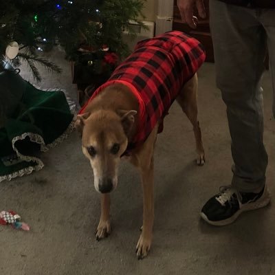 Jim DeLong - Twitter Profile Picture of Jim DeLong (@JimDeLong4) on Twitter