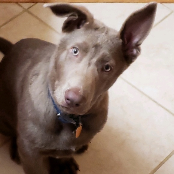 Profile Picture of Jim Brownfield (@peaceman01) on Poshmark