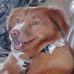 Profile Picture of Neal Alberts (@neal.alberts.14) on Facebook