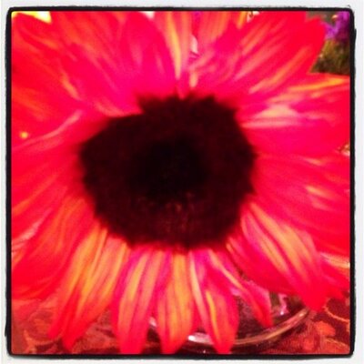 Profile Picture of Katherine Razdolsky (@KRazdolsky) on Twitter