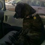 Profile Picture of Robert Parson (@robert_parson) on Instagram