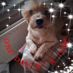 Profile Picture of James McSheffrey (@james.mcsheffrey.73) on Facebook