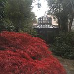 Profile Picture of Mark Goodwin (@mannership) on Instagram