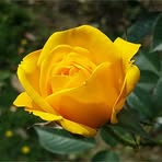 Profile Picture of Glow Brion (@glow.brion) on Facebook