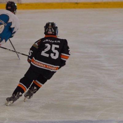 Profile Picture of Richard Gruber (@rgHockey25) on Twitter