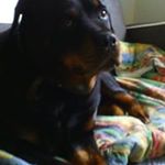 Profile Picture of huleux Josiane (@huleux_josiane) on Instagram