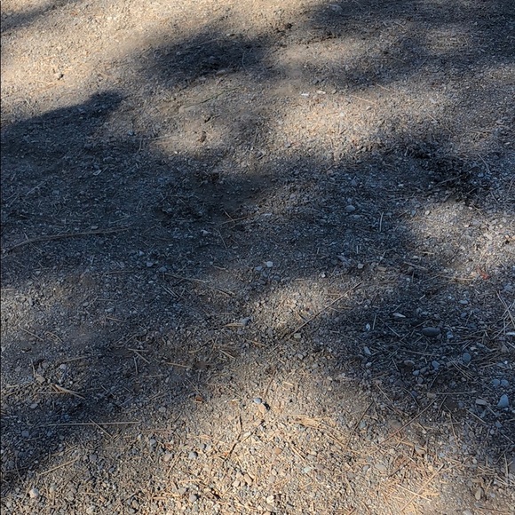 Profile Picture of Jake Bishop (@bishop_1025) on Poshmark