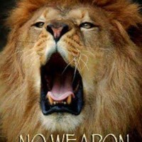 Profile Picture of Maxine Davies (@maxine-davies-4) on Quora