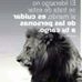 Profile Picture of Max Almeida (@max.almeida.33886) on Facebook