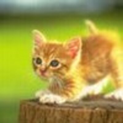 Profile Picture of Edward Jackson (@AkunFearn) on Twitter