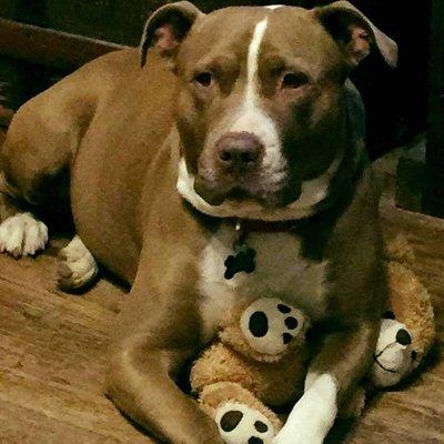 Profile Picture of Jim Pendergrass (@pendergrass_jim) on Twitter