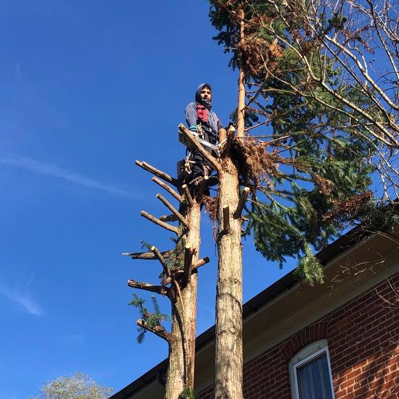 Profile Picture of Caleb Bernardo (@tenenudo) on Poshmark