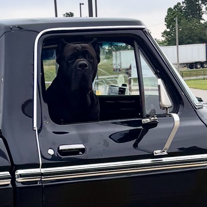Profile Picture of Bud (@buddyhall693) on Tiktok