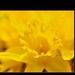 Profile Picture of Jim Crabtree (@crabtree0158) on Pinterest