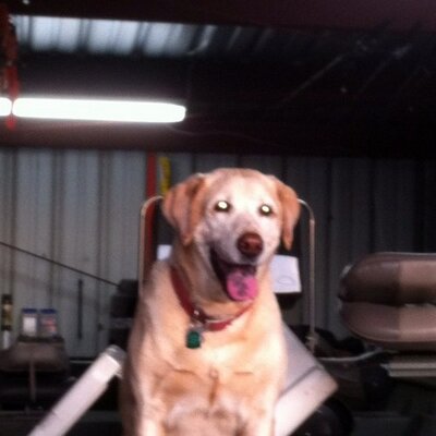 Profile Picture of Ralph Key (@rckey707) on Twitter