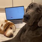 Profile Picture of Karen Jacobs (@tootsandbunny) on Instagram