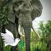 Profile Picture of Keith Moser (@keith.moser.35) on Facebook