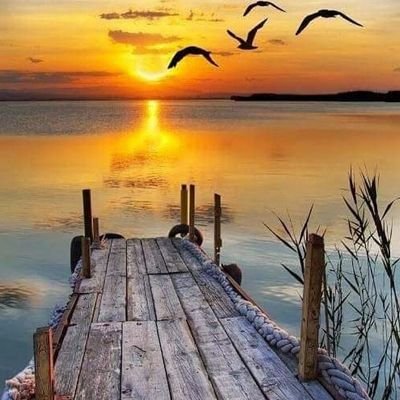 Profile Picture of Yusuf K Khan (@YusufKKhan5) on Twitter