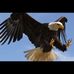 Profile Picture of Richard Cobian (@richard.cobian.773) on Facebook