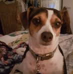 Profile Picture of Joanne Robinson (@joanne.robinson.317197) on Facebook