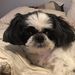 Profile Picture of Becky Cappert (@beckycappert) on Pinterest